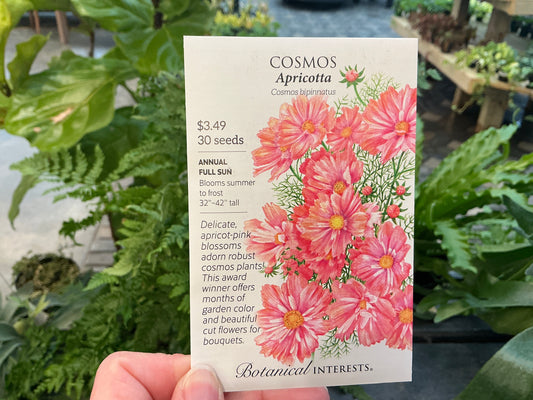 Cosmos | Cosmos Seed