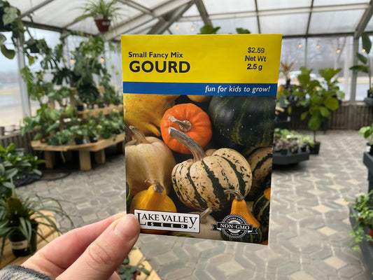 Cucurbita | Gourd Seed