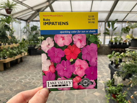 Impatiens | Impatiens Seed