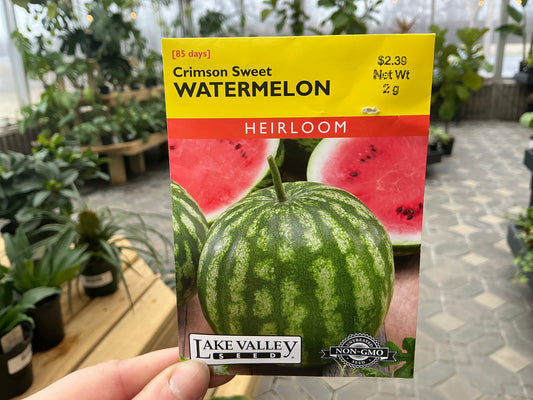 Citrullus | Watermelon Seed