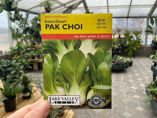 Brassica | Pak Choi Seed