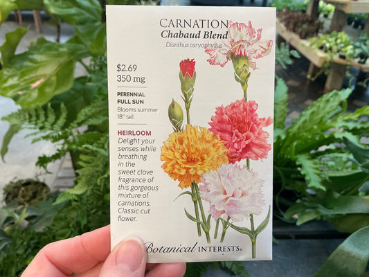 Dianthus | Carnation Seed