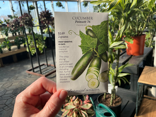 Cucumis | Cucumber Seed