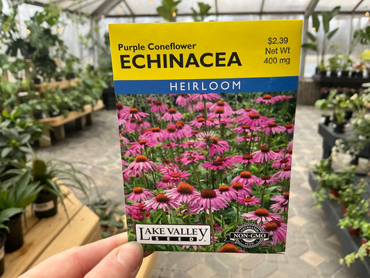 Echinacea | Coneflower Seed