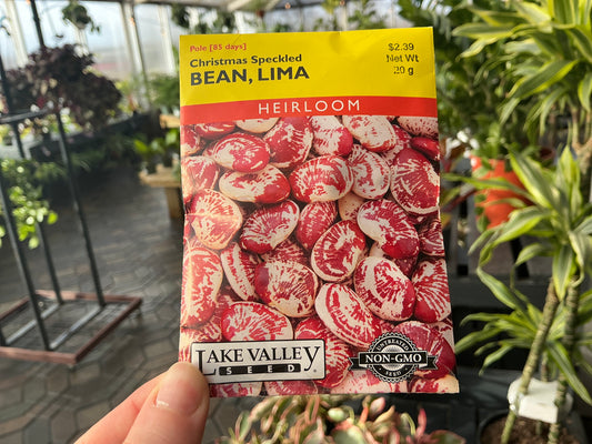 Phaseolus | Pole - Lima - Bean Seed