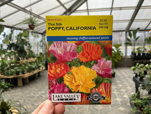 Eschscholzia | California - Poppy Seed