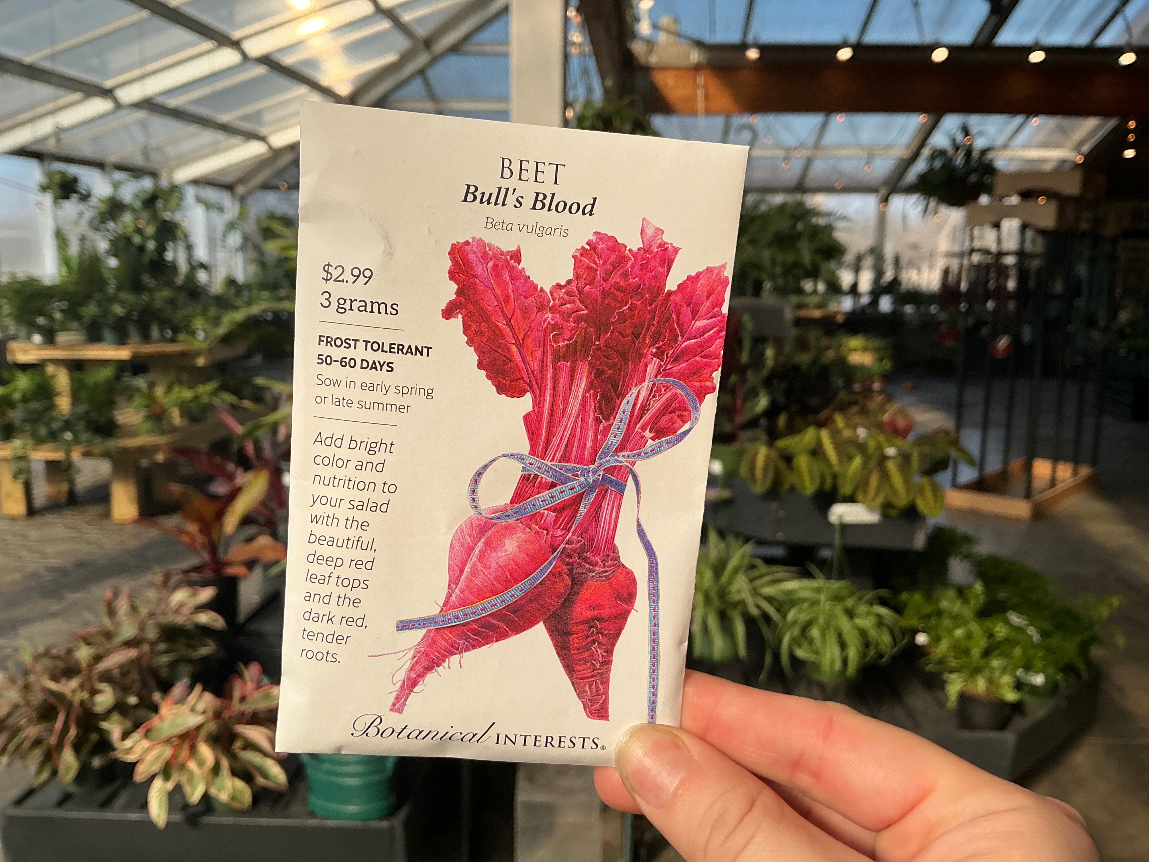 Beta | Beet Seed - Berns Garden Center