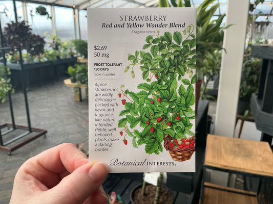 Fragaria | Strawberry Seed