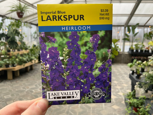 Delphinium | Larkspur Seed