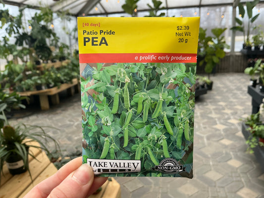 Pisum | Pea Seed