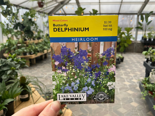 Delphinium | Delphinium Seed