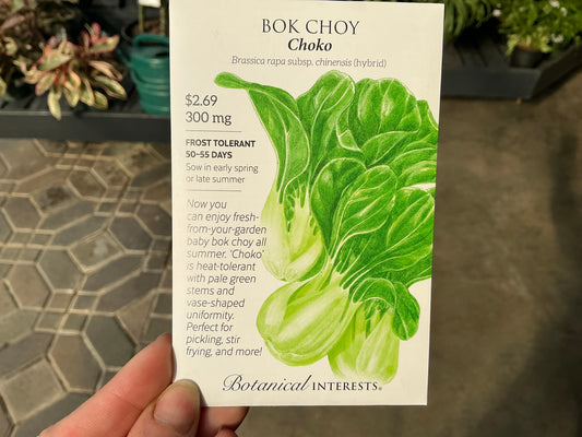 Brassica | Bok Choy Seed