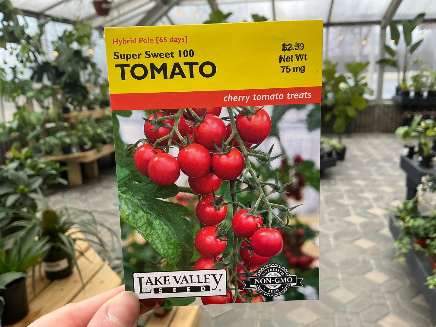 Lycopersicon | Pole - Cherry - Tomato Seed