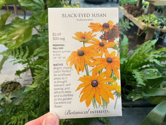 Rudbeckia | Black-Eyed Susan Seed