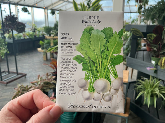 Brassica | Turnip Seed