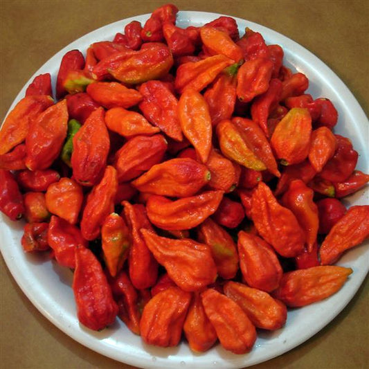 Pepper | Chili | Bhut Jolokia Red Ghost - 1 Pint