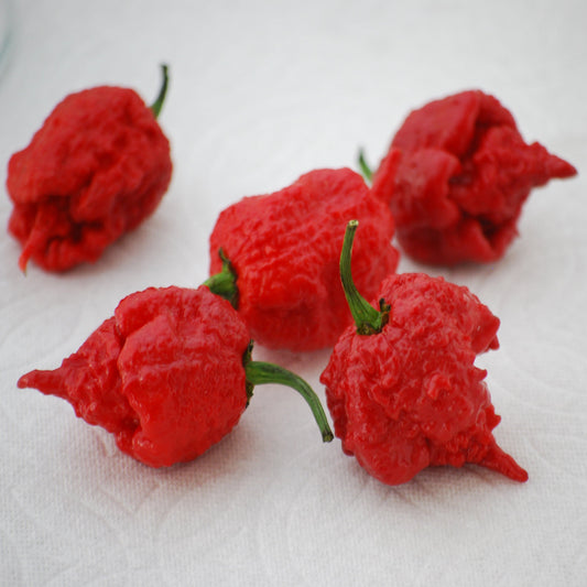 Pepper | Chili | Carolina Reaper - 1 Pint