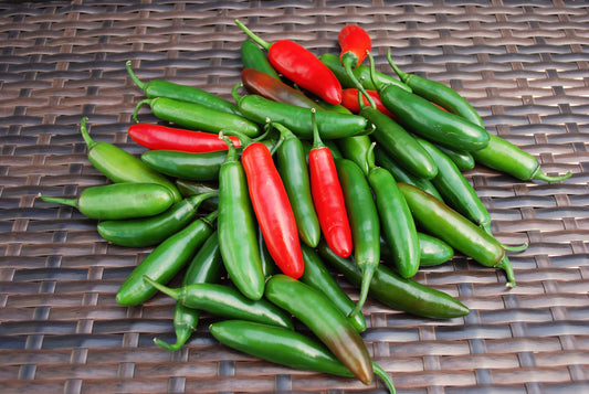 Pepper | Chili | Serrano - 1 Pint