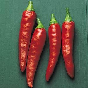 Pepper | Chili | Super Chili - 1 Pint