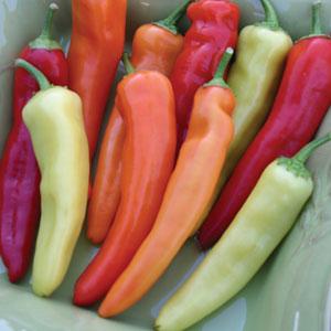 Pepper | Ethnic Hot | Hungarian Hot Wax - 1 Pint