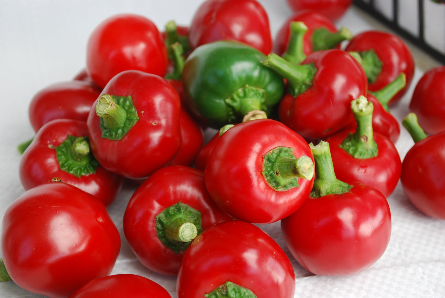 Pepper | Ethnic Hot | Red Cherry Hot - 1 Pint