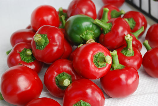 Pepper | Ethnic Hot | Red Cherry Hot - 1 Pint