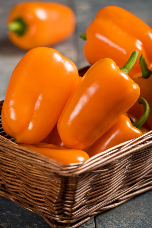 Pepper | Bell | Orange Blaze - 1 Pint