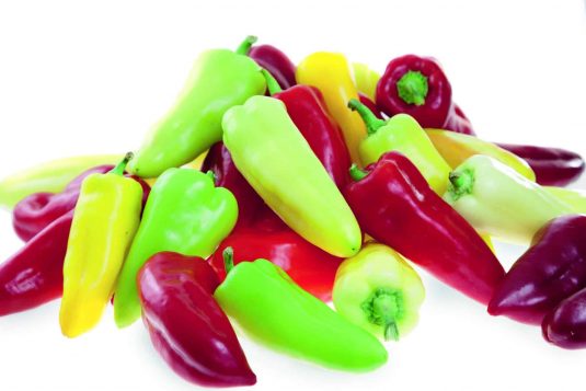 Pepper | Mild | Pretty N Sweet - Trellis Container