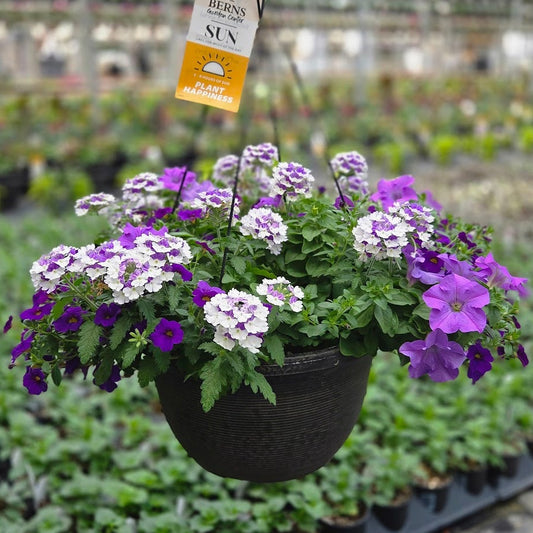 ColorWave | Blue Skies - Large Hanging Basket