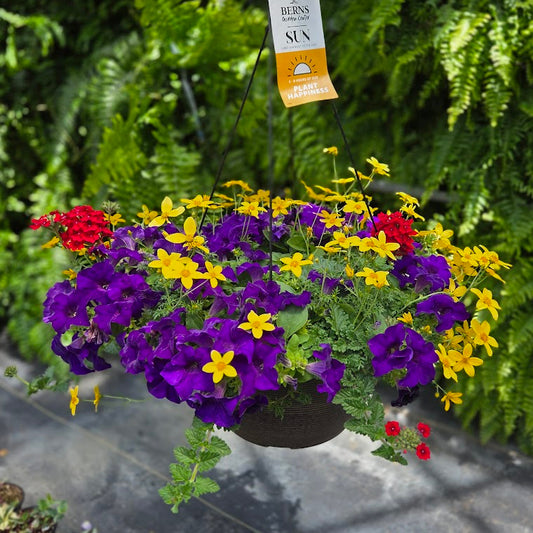 ColorWave | Happy Days - Large Hanging Basket
