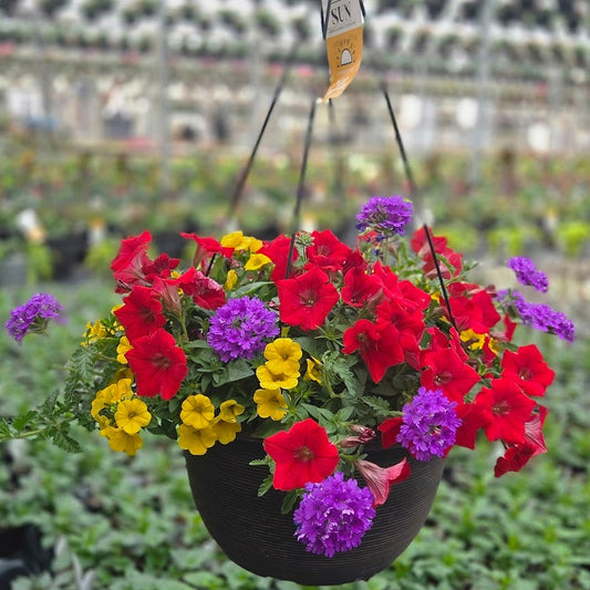 ColorWave | Playtime - Large Hanging Basket