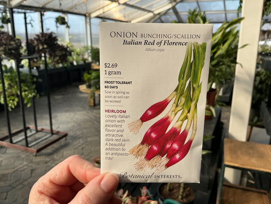 Allium | Bunching - Onion Seed