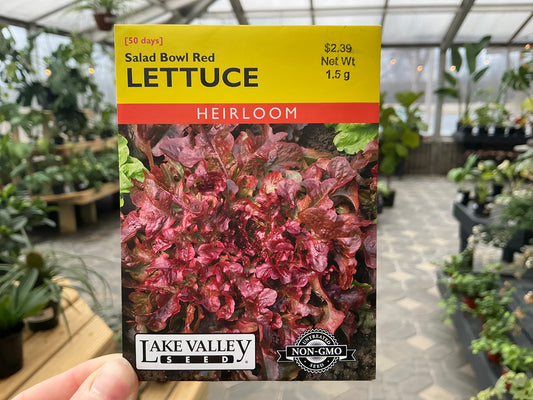 Lactuca | Salad - Lettuce Seed