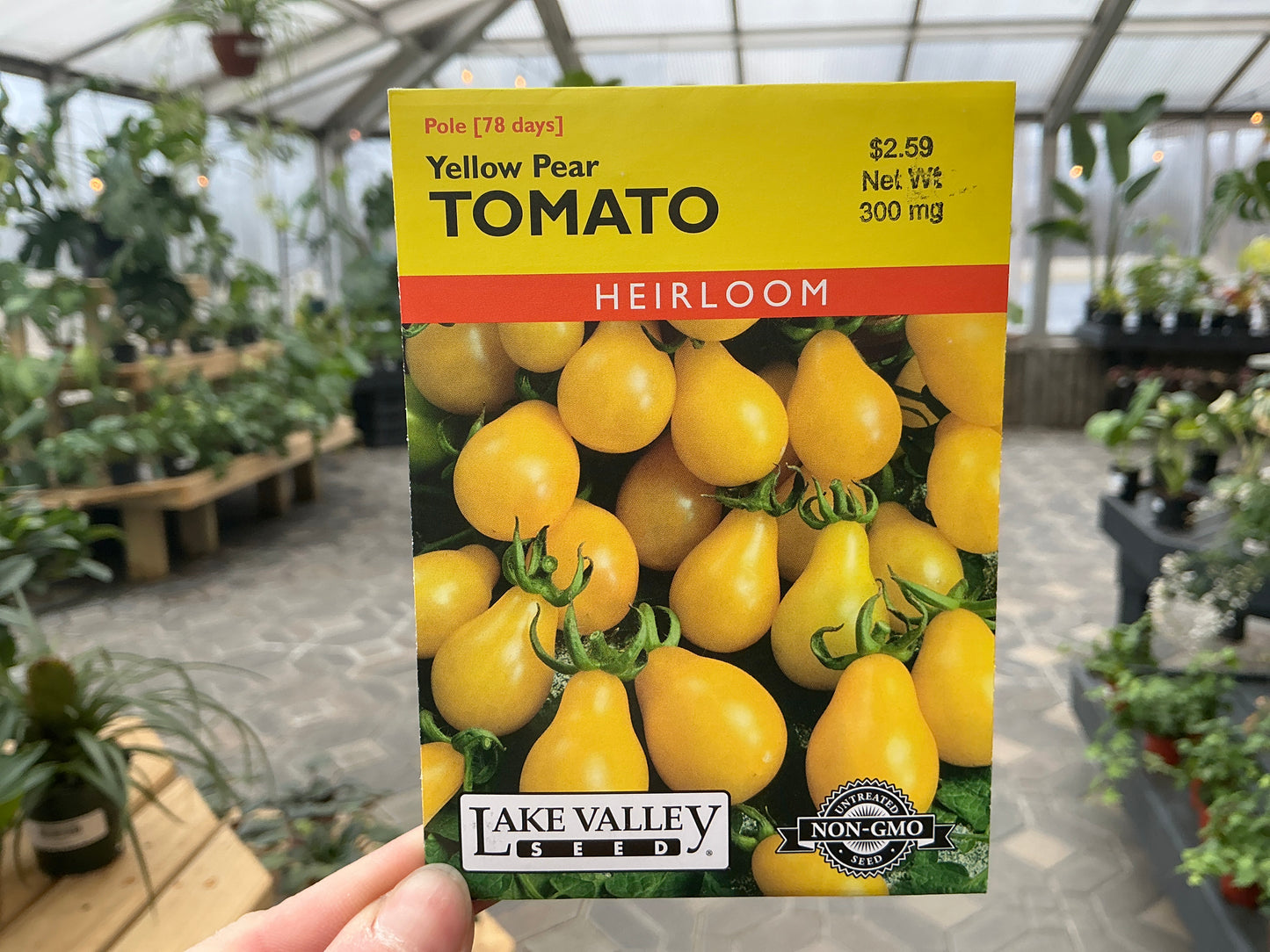 Lycopersicon | Pole - Cherry - Tomato Seed