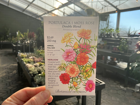 Portulaca | Moss Rose Seed