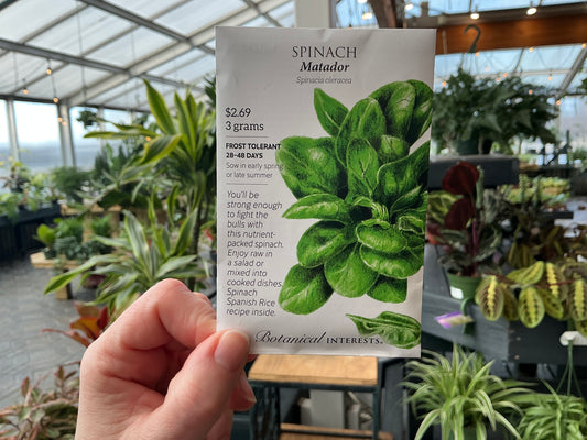 Spinacia | Spinach Seed