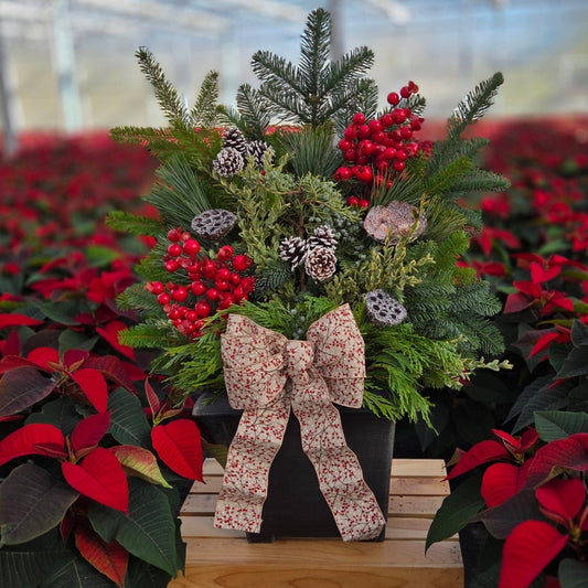Decorative Christmas arrangement with greenery, red berries, and a floral bow in a greenhouse setting.