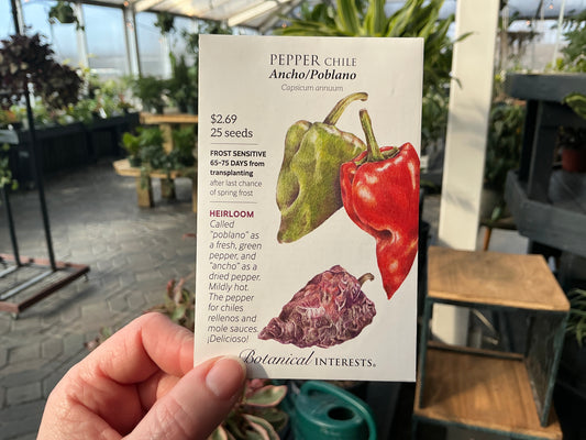 Capsicum | Chile - Pepper Seed