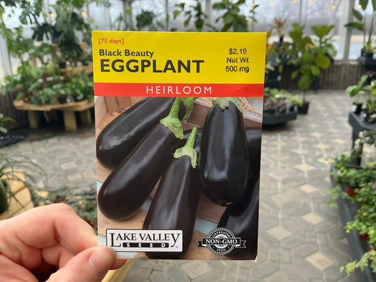 Solanum | Eggplant Seed