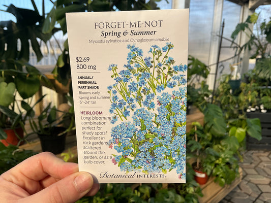 Myosotis | Forget-Me-Not Seed