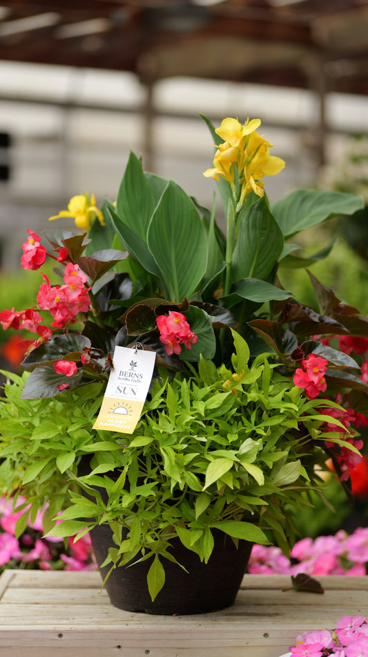 PatioHaven | Whopper Glow - Large Patio Container