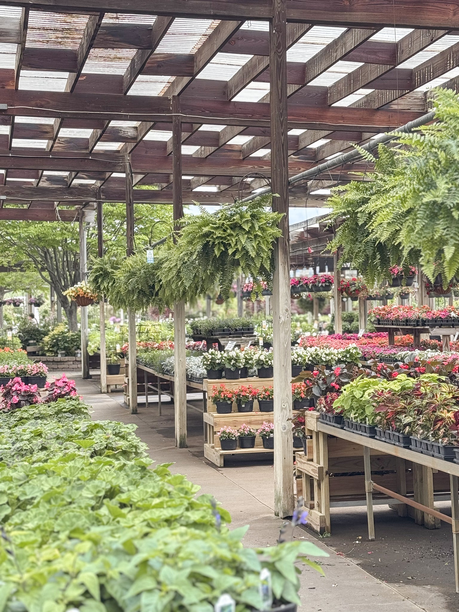 Middletown Berns Garden Center | Locally Grown Plants, Landscaping ...