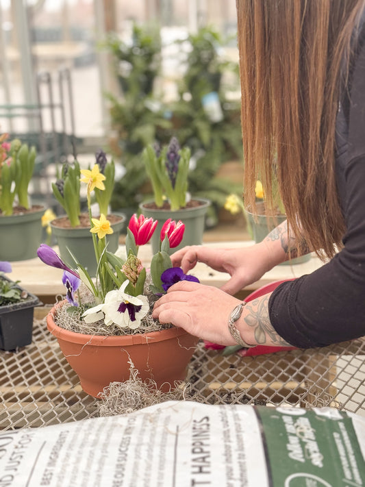 Spring Dish Garden | Workshop