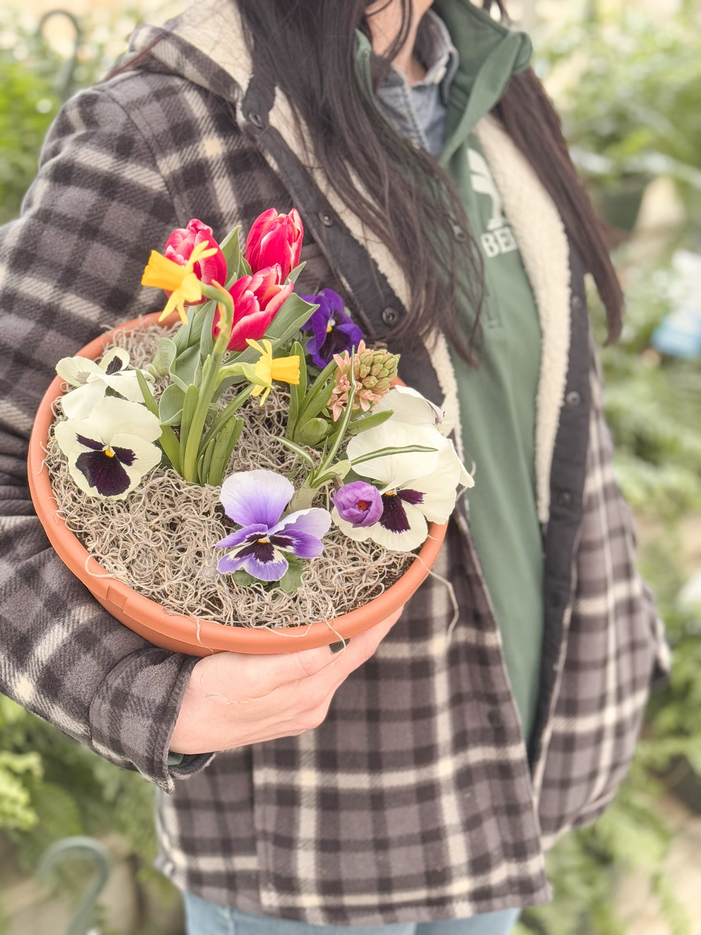 Spring Dish Garden | Workshop