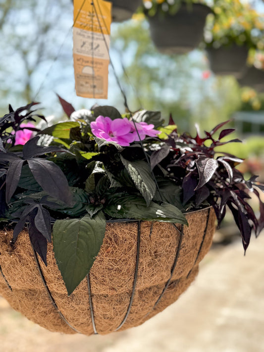 BloomMate SunPatiens | Lavender Splash - Grand Hanging Basket