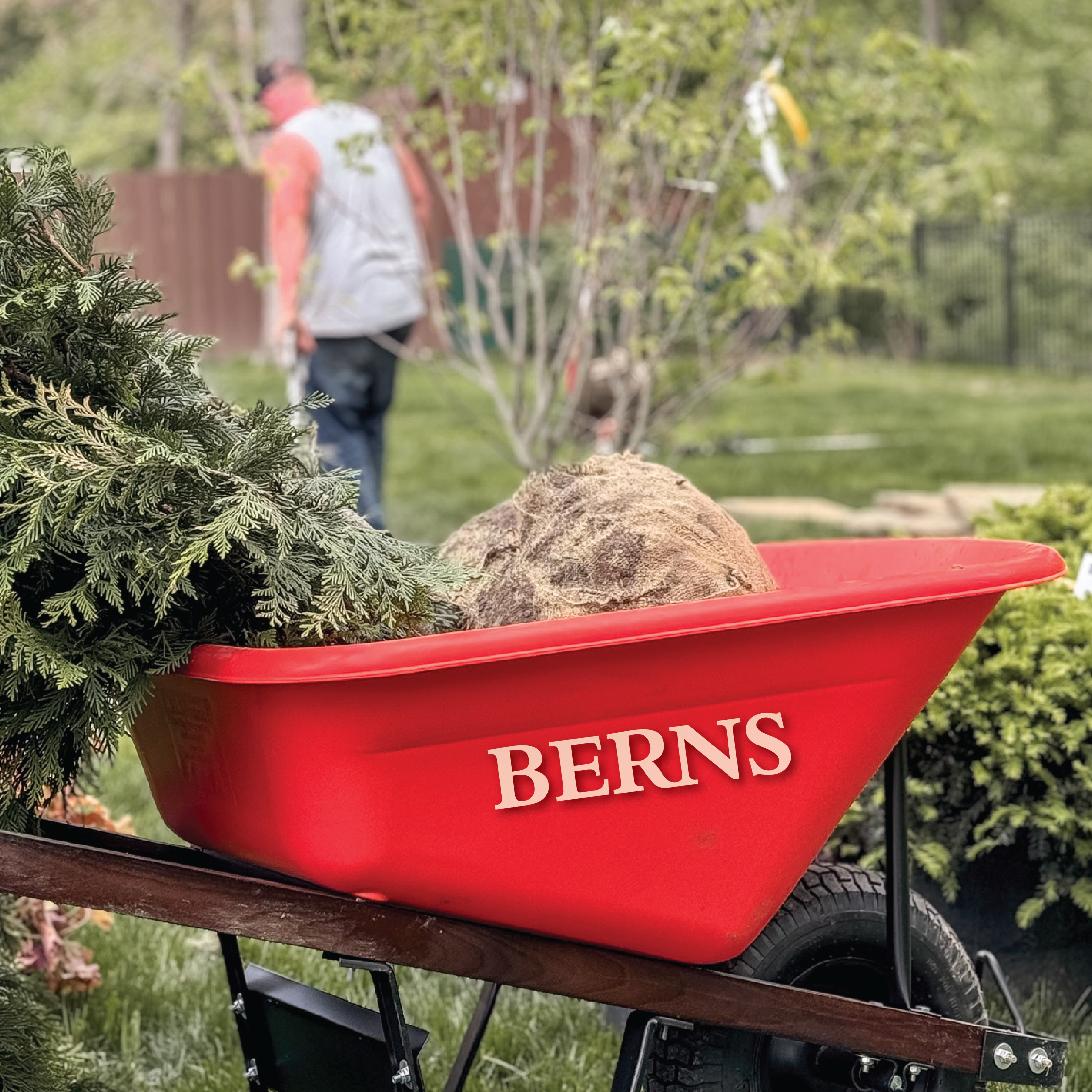 Berns Wheelbarrow
