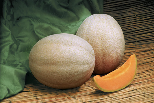 Cantaloupe | Aphrodite - 1 Pint