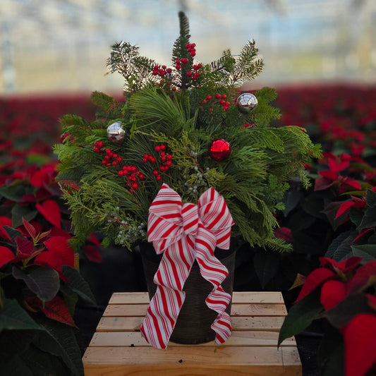 HolidayScape | Merry & Bright - Small Patio Container