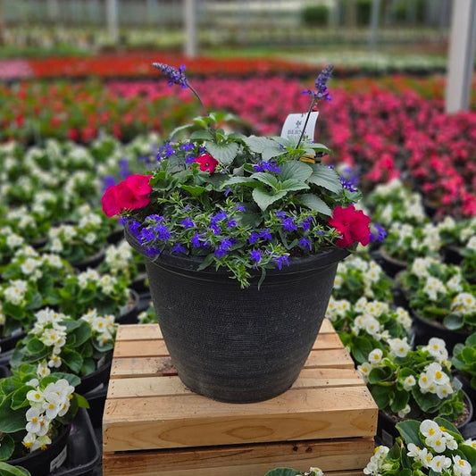 PatioHaven | Fuchsia Sunset - Large Patio Container