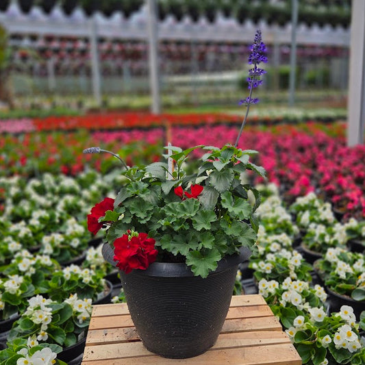 PatioHaven | Mystic Tradition - Medium Patio Container